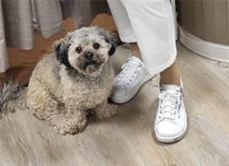 Der Frühling kann kommen…